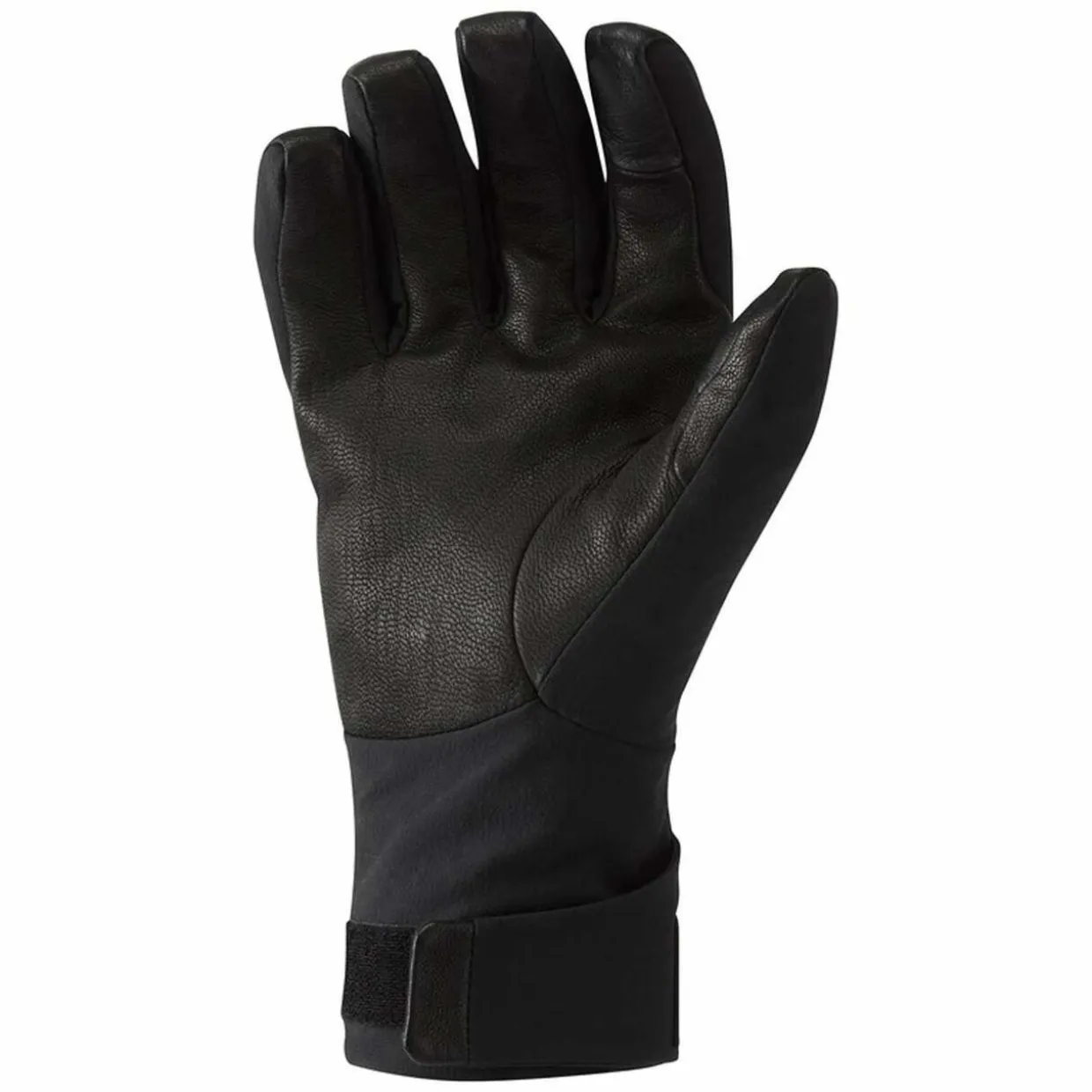 Alpine Resolve Gore-Tex Gloves