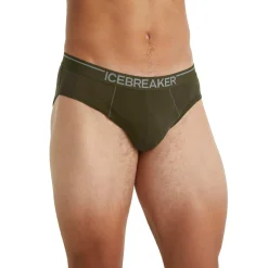 Anatomica Merino Briefs