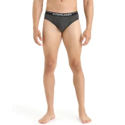 Anatomica Merino Briefs