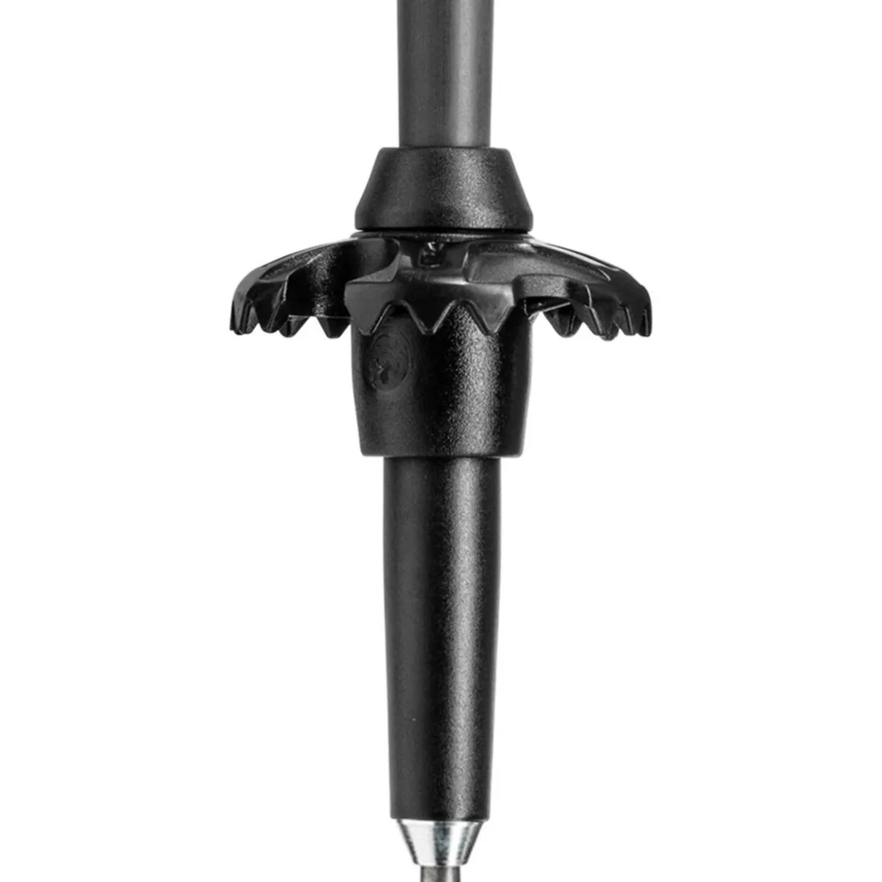 Black Series FX Carbon Trekking Poles