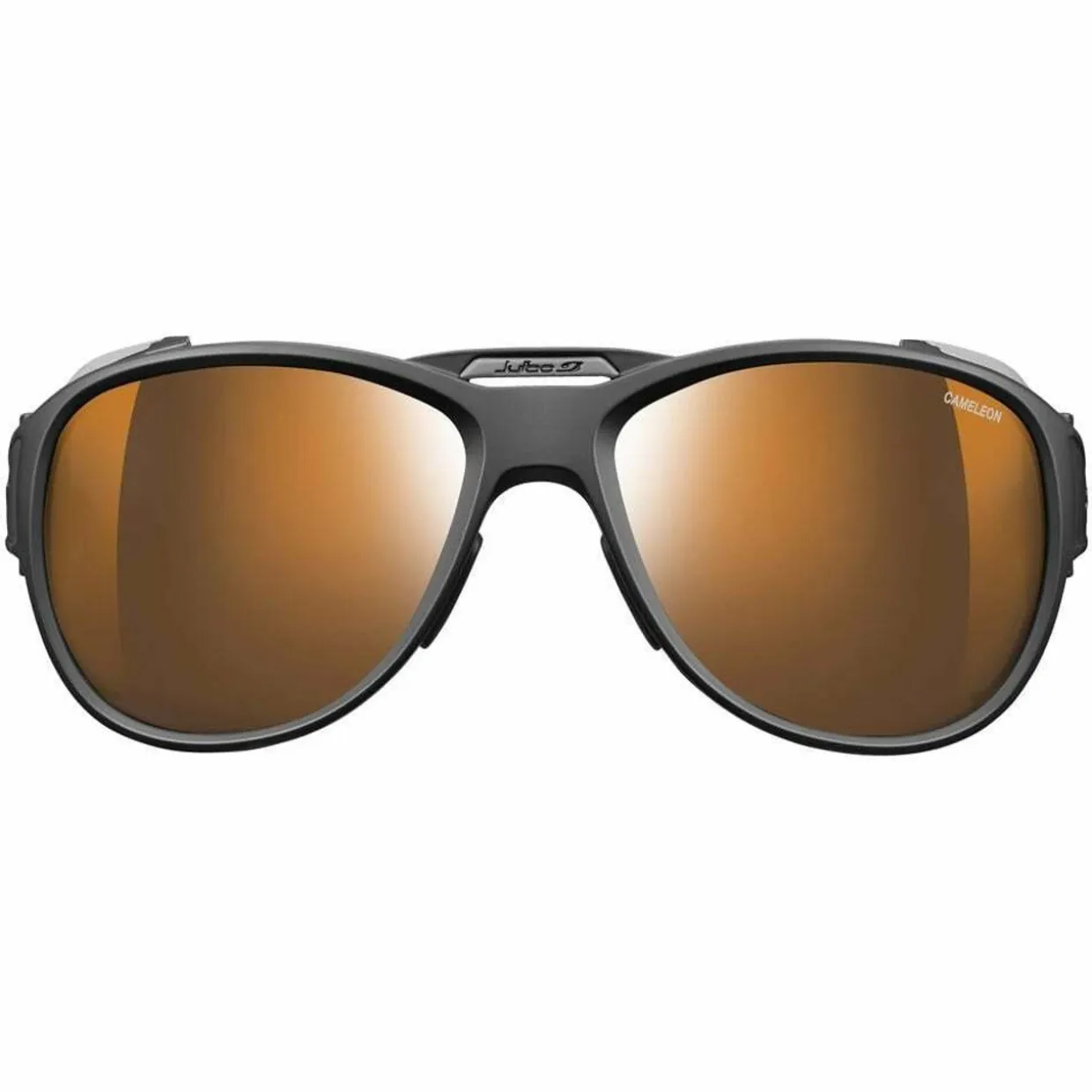 Explorer 2.0 Reactiv High Mountain 2-4 Sunglasses