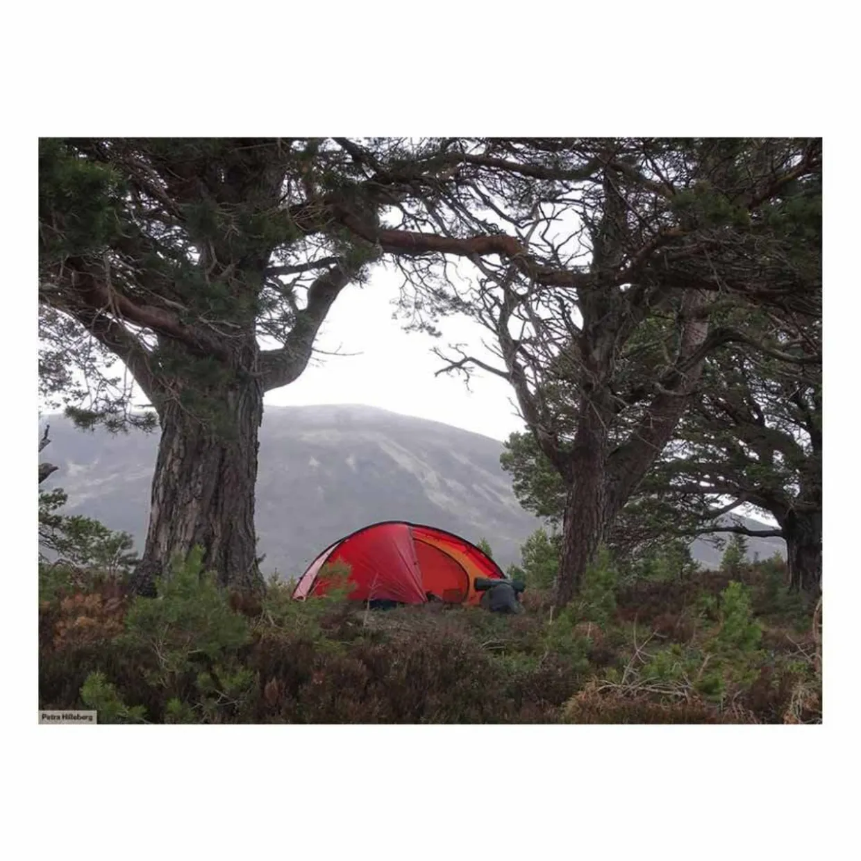 Niak 2 Person Tent