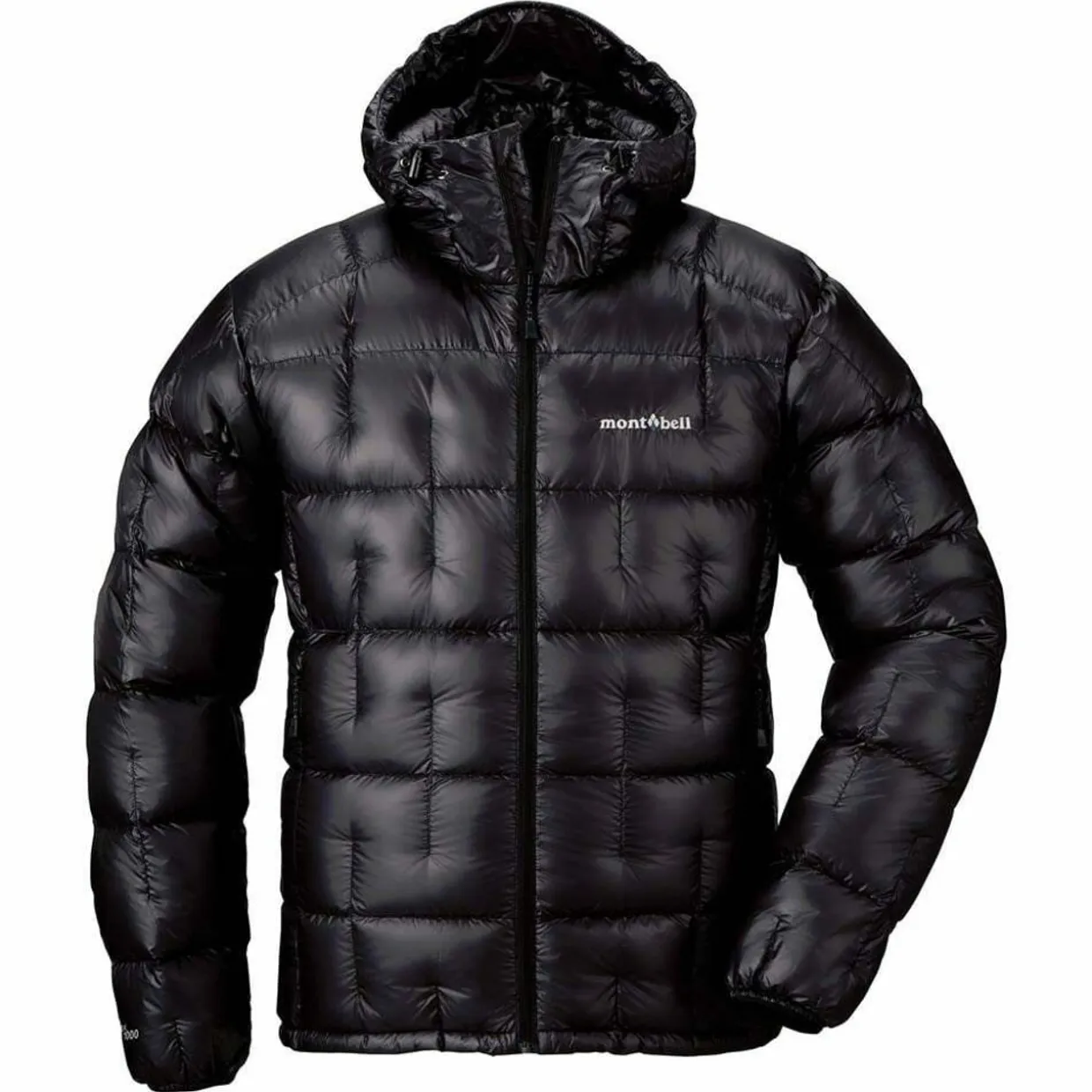 Plasma 1000 Alpine Down Parka