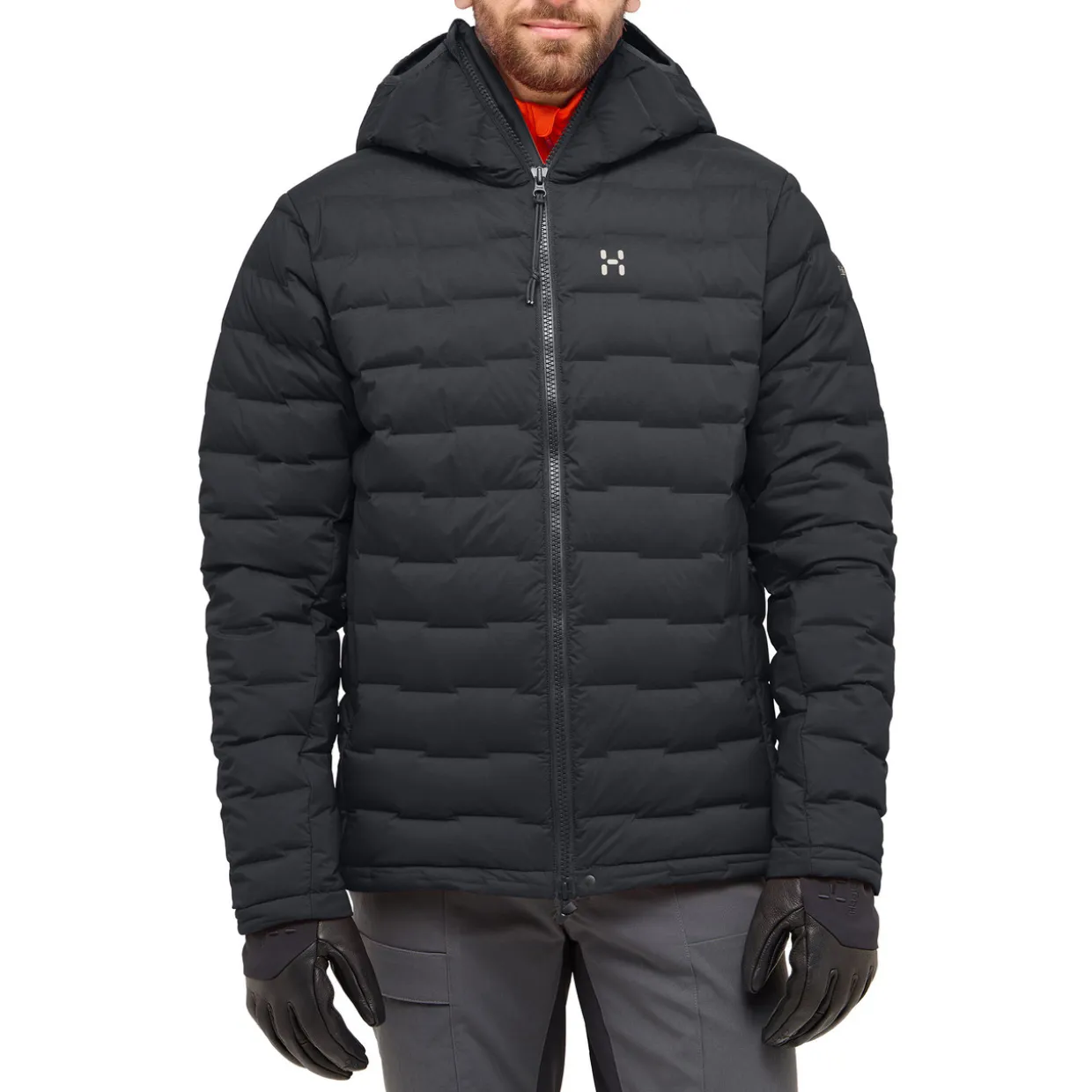 Spitz Down Hooded Jacket