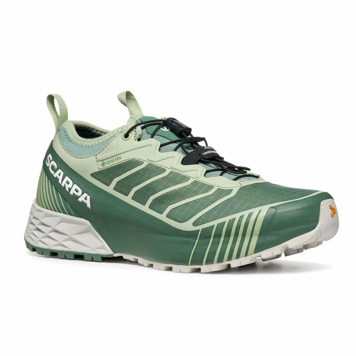 Womens Ribelle Run GTX