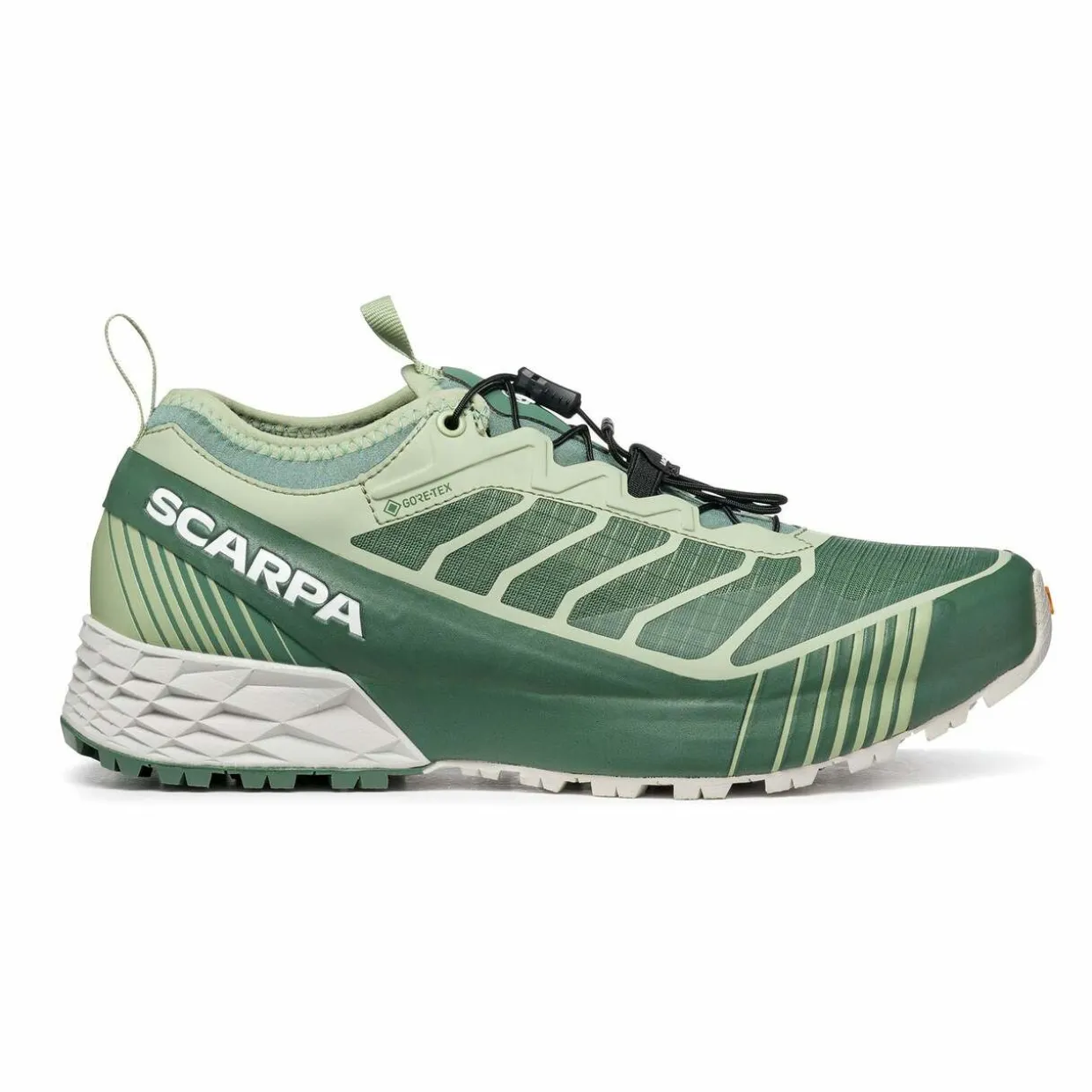 Womens Ribelle Run GTX