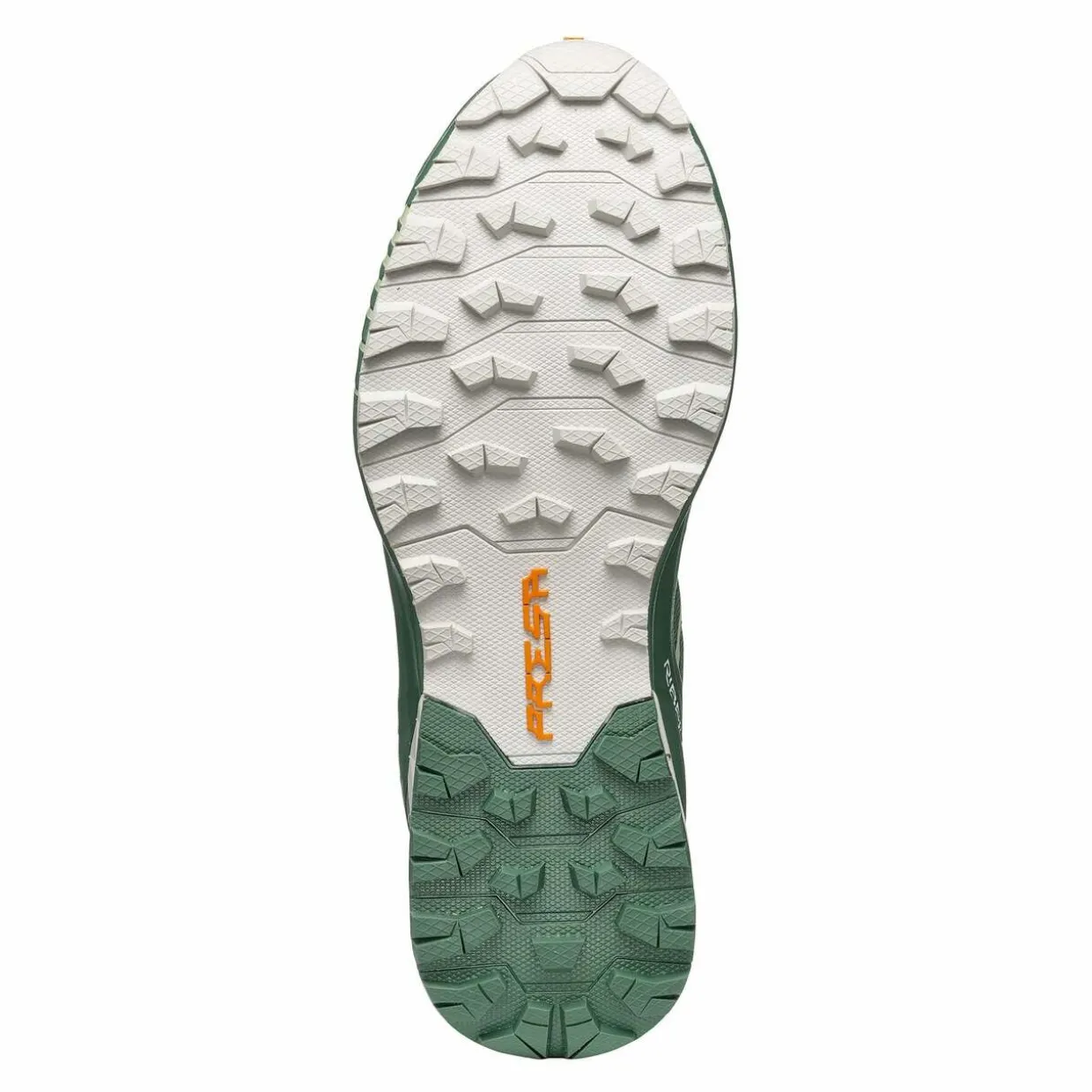 Womens Ribelle Run GTX