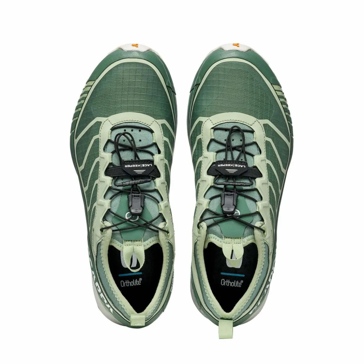Womens Ribelle Run GTX