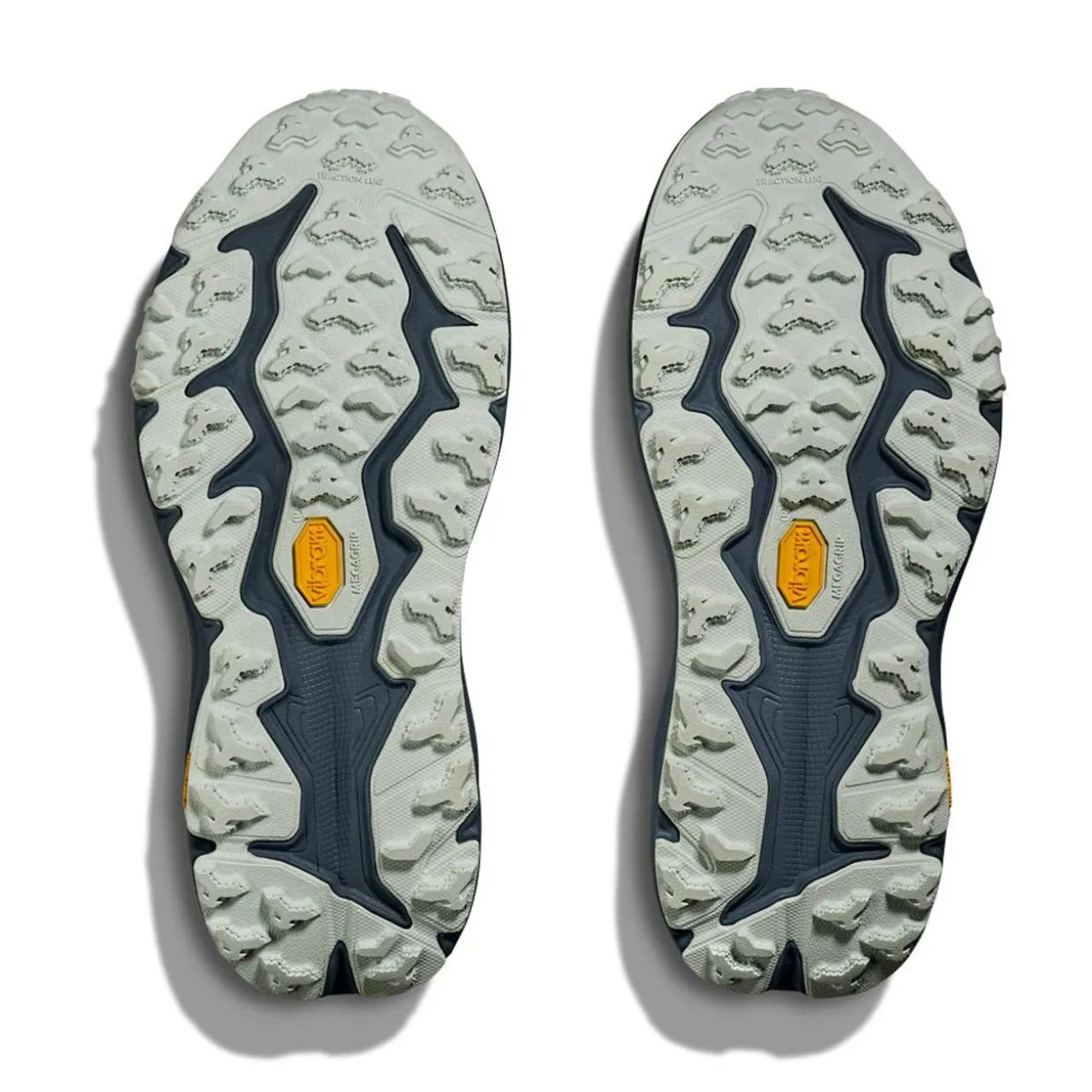 Womens Speedgoat 6 GTX - Past Season Colours